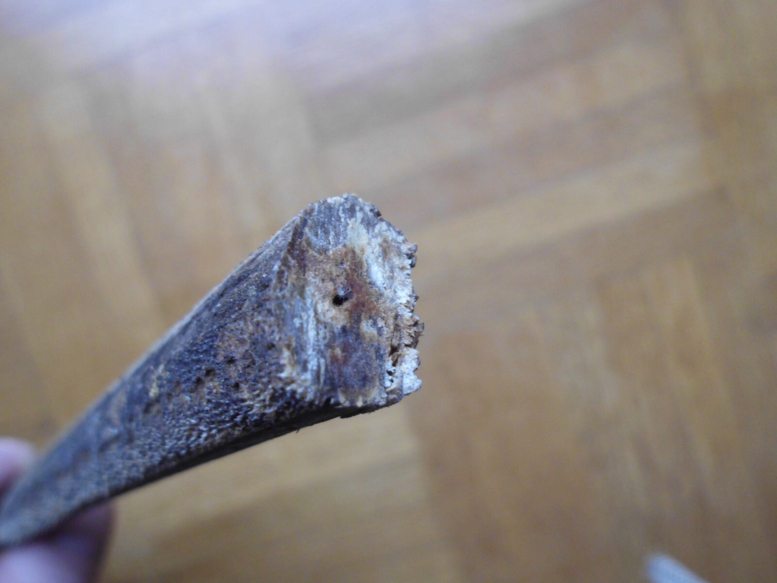 Bild 1 von 4