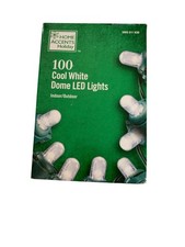Home Accents Holiday 100 Cool White Dome LED String Lights