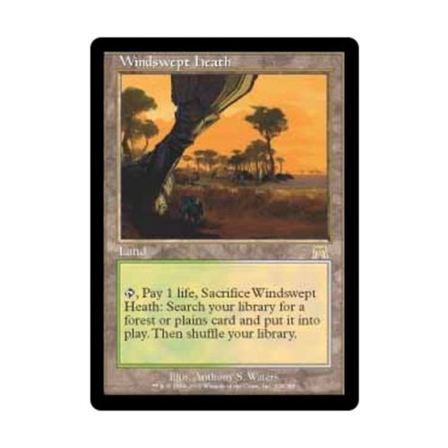 WOTC MtG Onslaught Windswept Heath (R) EX