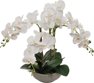 20'' White Phalaenopsis Orchid in Grey Pot | Realistic Indoor Decor