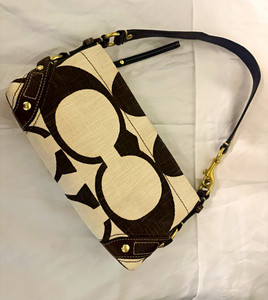 Carly Coach | eBay