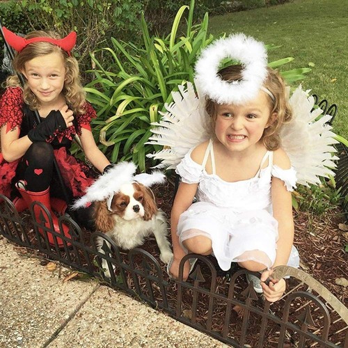 BohoSM Angel Costume Wings and Halo Adult White Angel Costumes Wings for Girl... - Picture 5 of 7