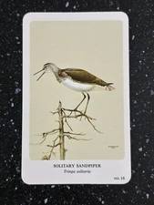 General Cigar Co Northern Birds by Fenwick Lansdowne Card 16 Solitary Sandpiper
