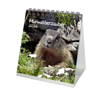 SEELENZAUBER GMBH Murmeltierzauber Tischkalender 10cm x 10cm für 2026 Murmeltier - Seelenzauber