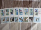 Japan Stamp First Day Cover Waterside Birds Series 8 Covers (水辺の鳥シリーズ) 1991～1993