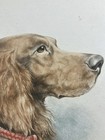 Bild 8 von 12