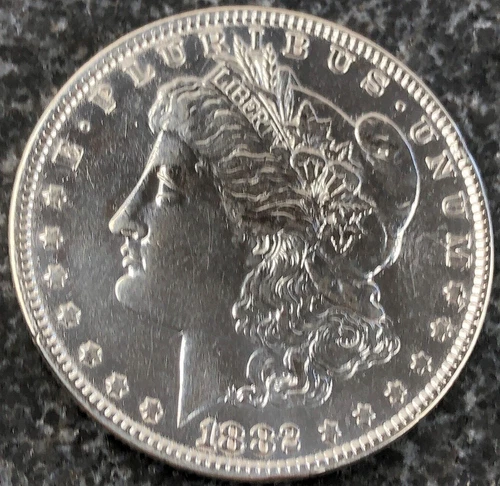 1882-P Morgan Silver Dollar Absolutely Supper Nice Fine Detail 7 Tell Feathers