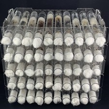 Test Tube Rough Harvester Ant Farm Nest For Queen Pogonomyrmex Rugosus w/1-3w