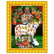 Gomatha Gomata Cow and Calf Kamdhenu Photo Wall Painting Framed