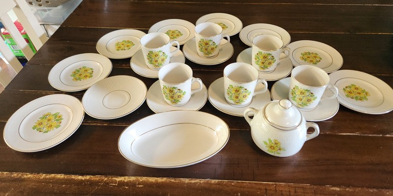 Staffordshire Summertime Floral England Dinner Set Cup/Saucer/Plate