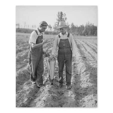 1940 Two Farmers Using Tobacco Mechanical Planter Photo Print Wall Art Poster