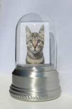 Small/Keepsake 18 Cubic Inch Pewter Iris Pet Funeral Cremation Urn for Ashes