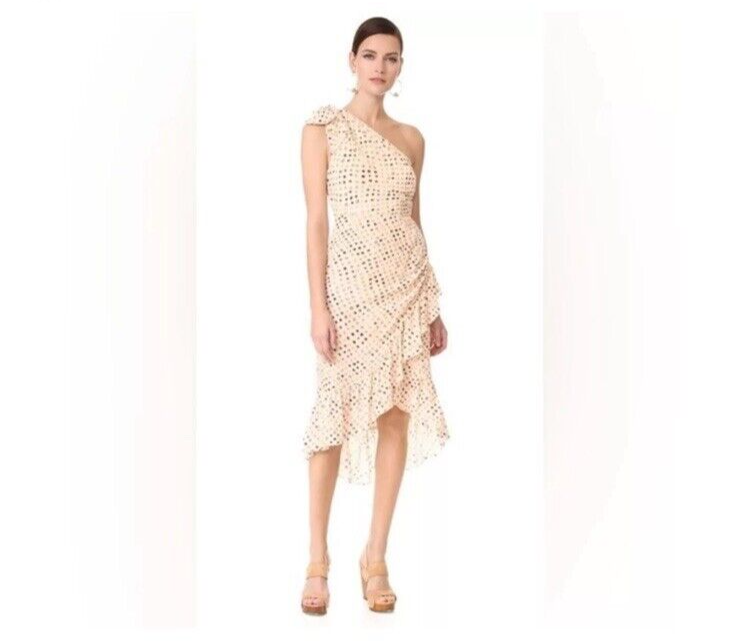 liv foster elara asymmetrical embroidered lace midi dress Enchanted Moment Floral Applique Midi Dress - Cream main image 0