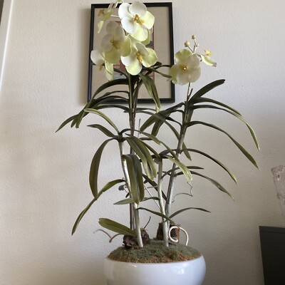 The CG Hunter White Orchid Plant, premium artificial indoor flower display  36''
