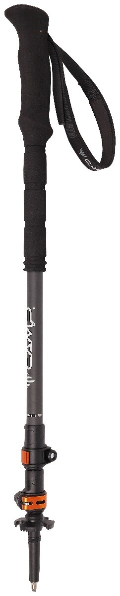 CAMP - Bastoncino trekking telescopico 3 pezzi Backcountry Pro 2.0