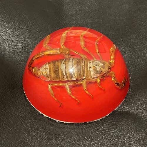 Vtg Scorpion Paperweight Red Lucite Spooky Creepy   4” curiousity oddity