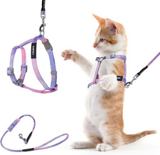 Cat Harness and Leash Set, Adjustable Gradient Kitten Harness Escape Proof Harne