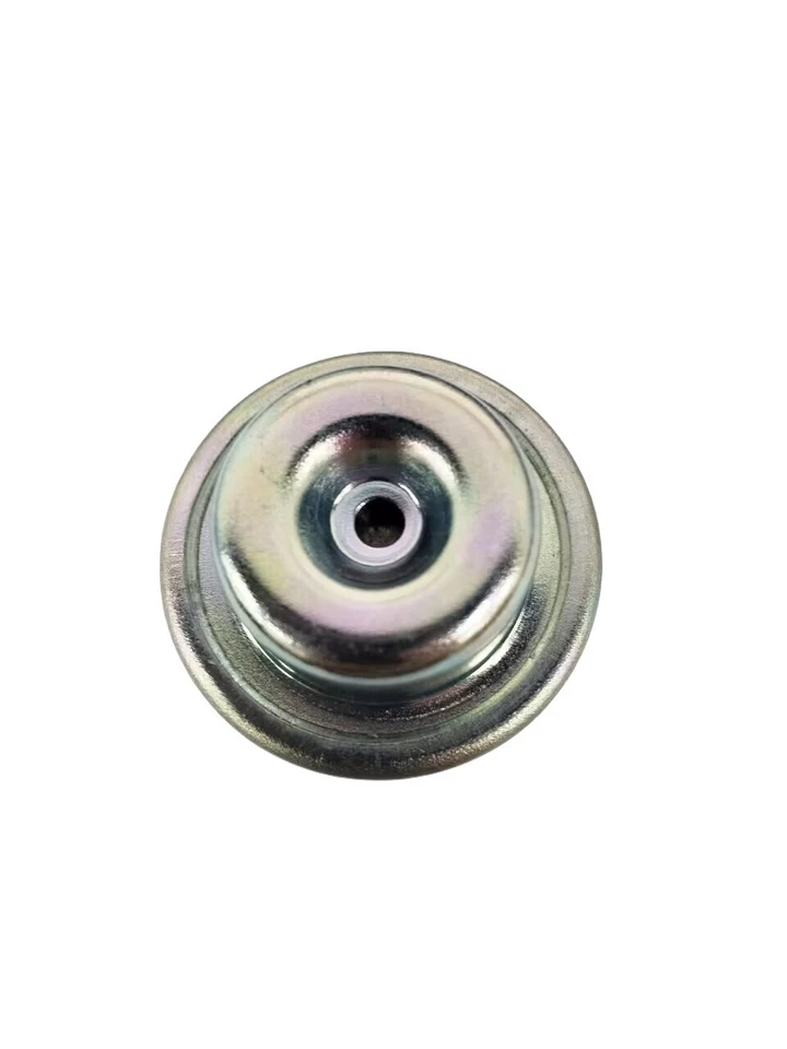 Fuel Injection Pressure Pulsation Damper Assy For Mazda 323 195250-0290 Foto 4 de 4