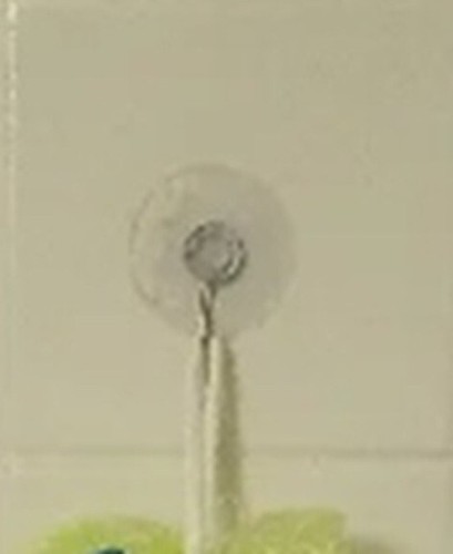 Kleiner grüner Körperschrubber Puff Bad Luffa Netz mit weichen bunten Fischen/Pool Spielzeug - Bild 5 von 5