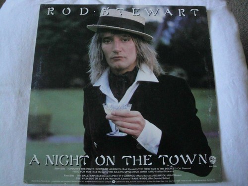 ROD STEWART A NIGHT ON THE TOWN VINYL LP 1976 WARNER BROS. RECORDS THE FIRST CUT - Picture 2 of 4
