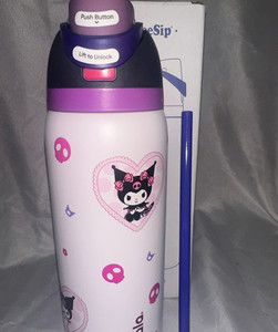 Kuromi Owala | eBay