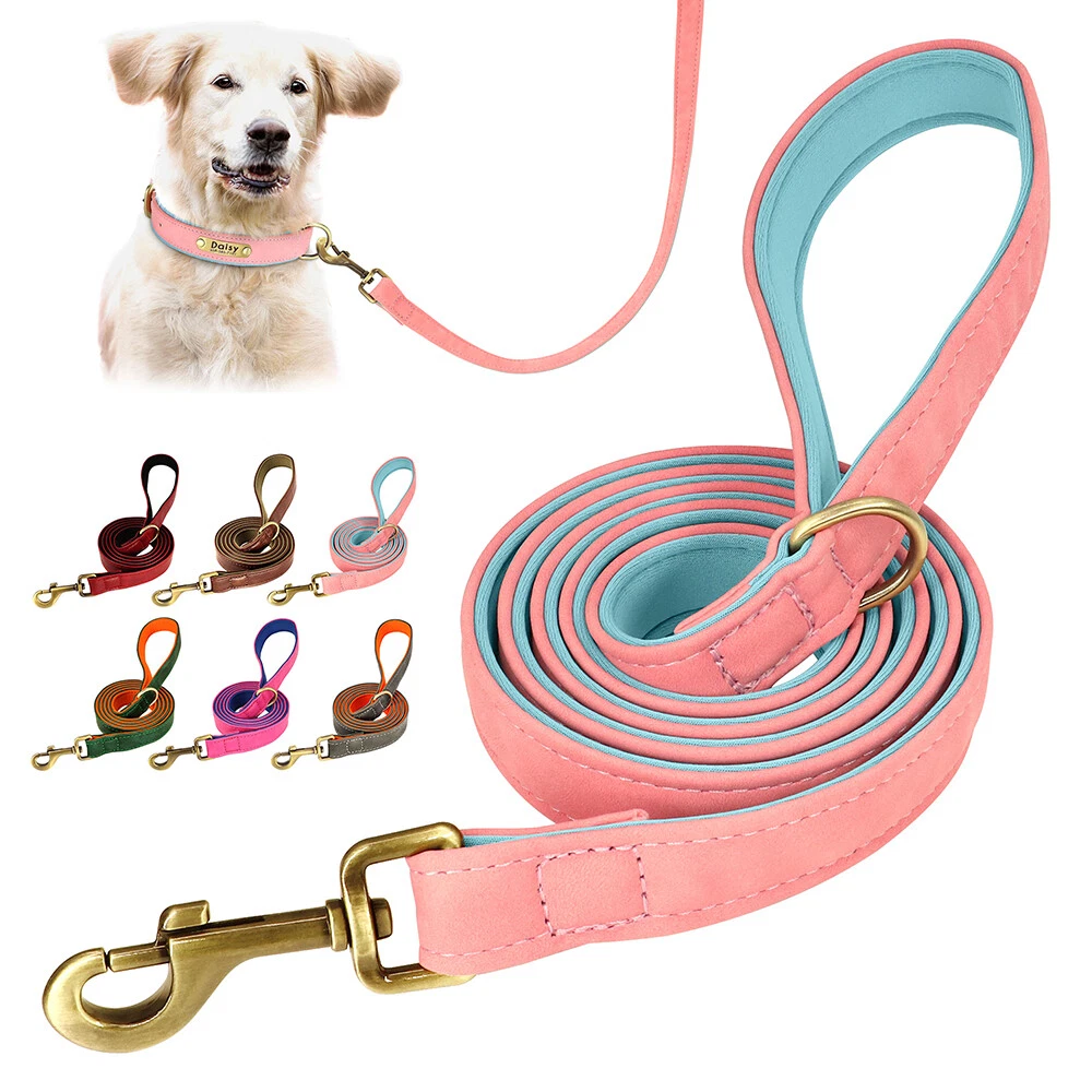 Padded dog clearance lead