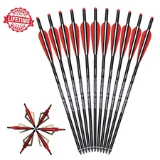 12X 20'' Carbon Crossbow Bolts Arrow 3-Blade 100grain Broadhead Archery Hunting