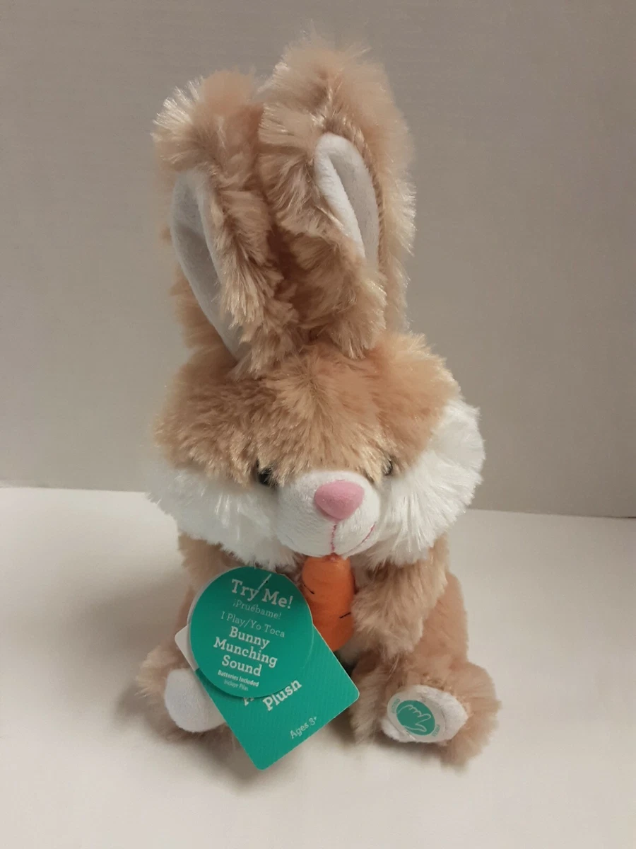 Munching bunny : r/Rabbits