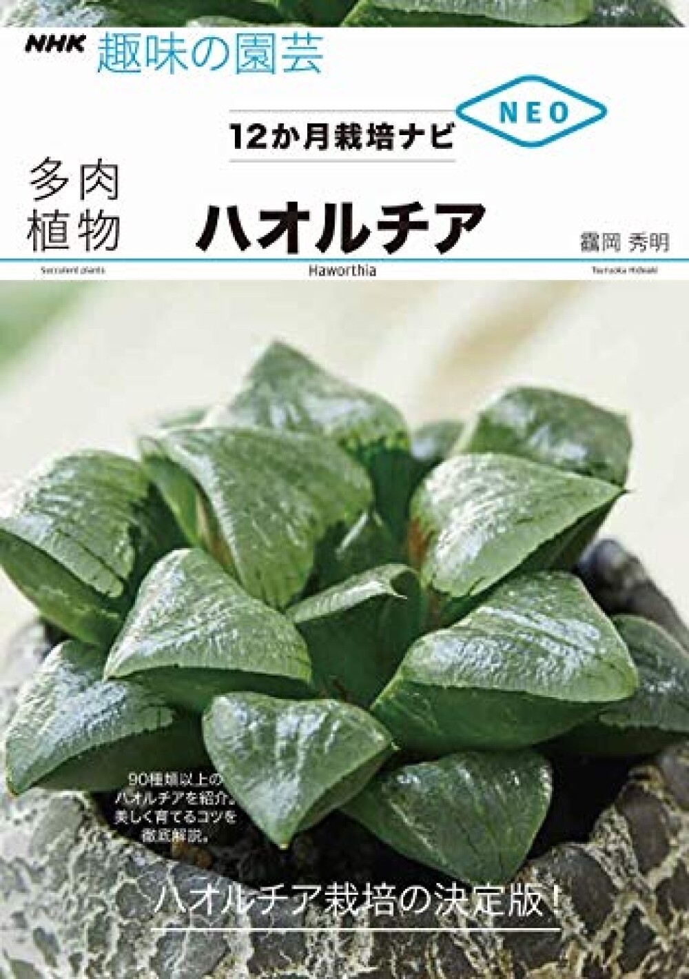 How To Grow Haworthia For One Year Book Japan Succulent Plants Cultivation