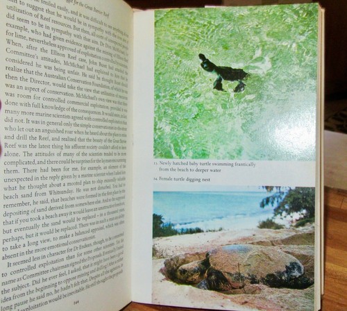 The STRUGGLE for the GREAT BARRIER REEF ~ Patricia CLARE 1971 HbDj HERE in MELB - Picture 11 of 12