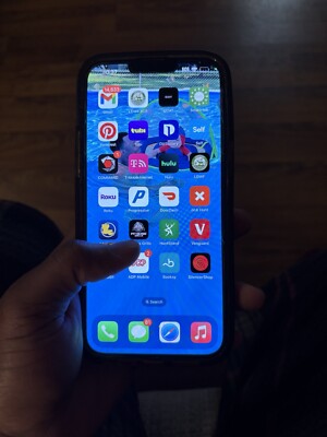 iPhone 13 Pro Max With Original Tik Tok Downloaded 