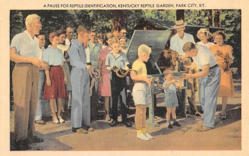 Reptile Identification KENTUCKY REPTILE GARDENS Park City, KY Snakes Postcard - Picture 1 of 2