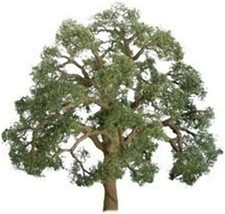 JTT Live Oak - O Scale Model Railroad Tree - 96043