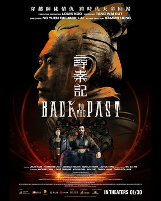 Back to the Past 2026 Movie Poster | eBay