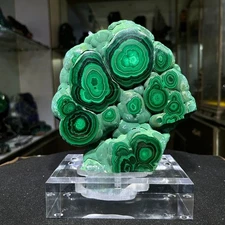 5.62LB Natural malachite quartz crystal Mineral specimen +stand