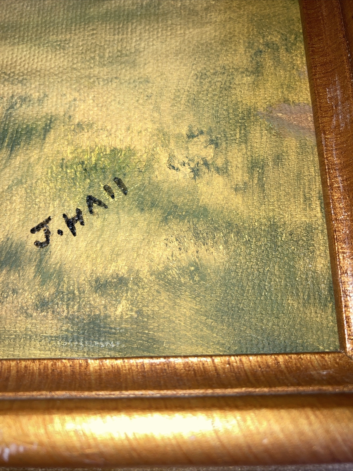 Picture 12 of 12