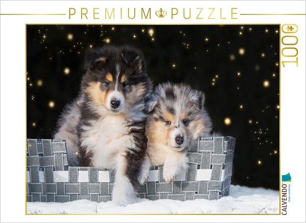 Calvendo Puzzle Collie Puppies | 1000 Pieces, Finished Size 25.2 × 18.9 In (64 ×-image