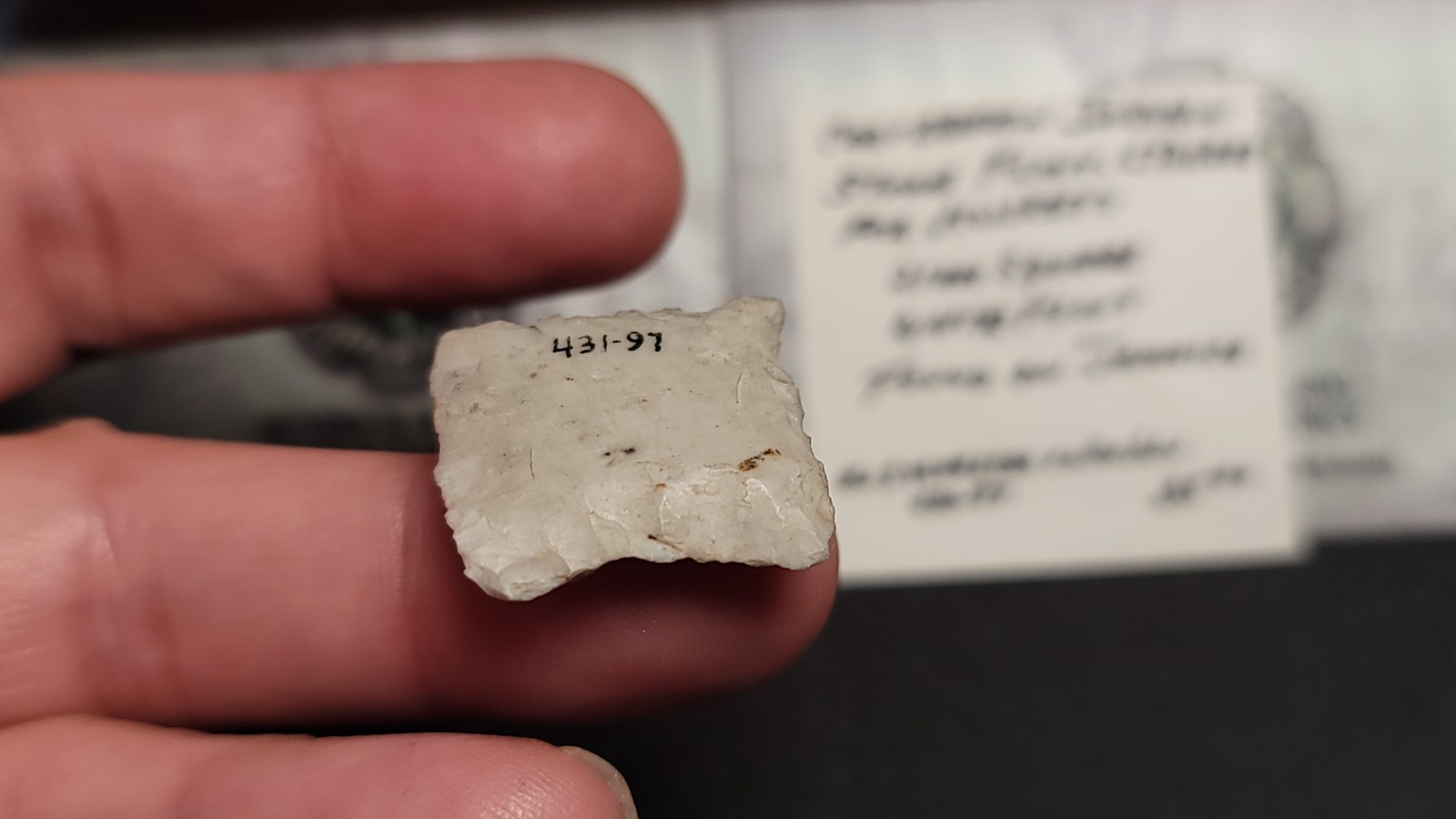 Caribbean Flint Musket Striker – Pirate Era Jamaica Find–Ex Sylvester Collection