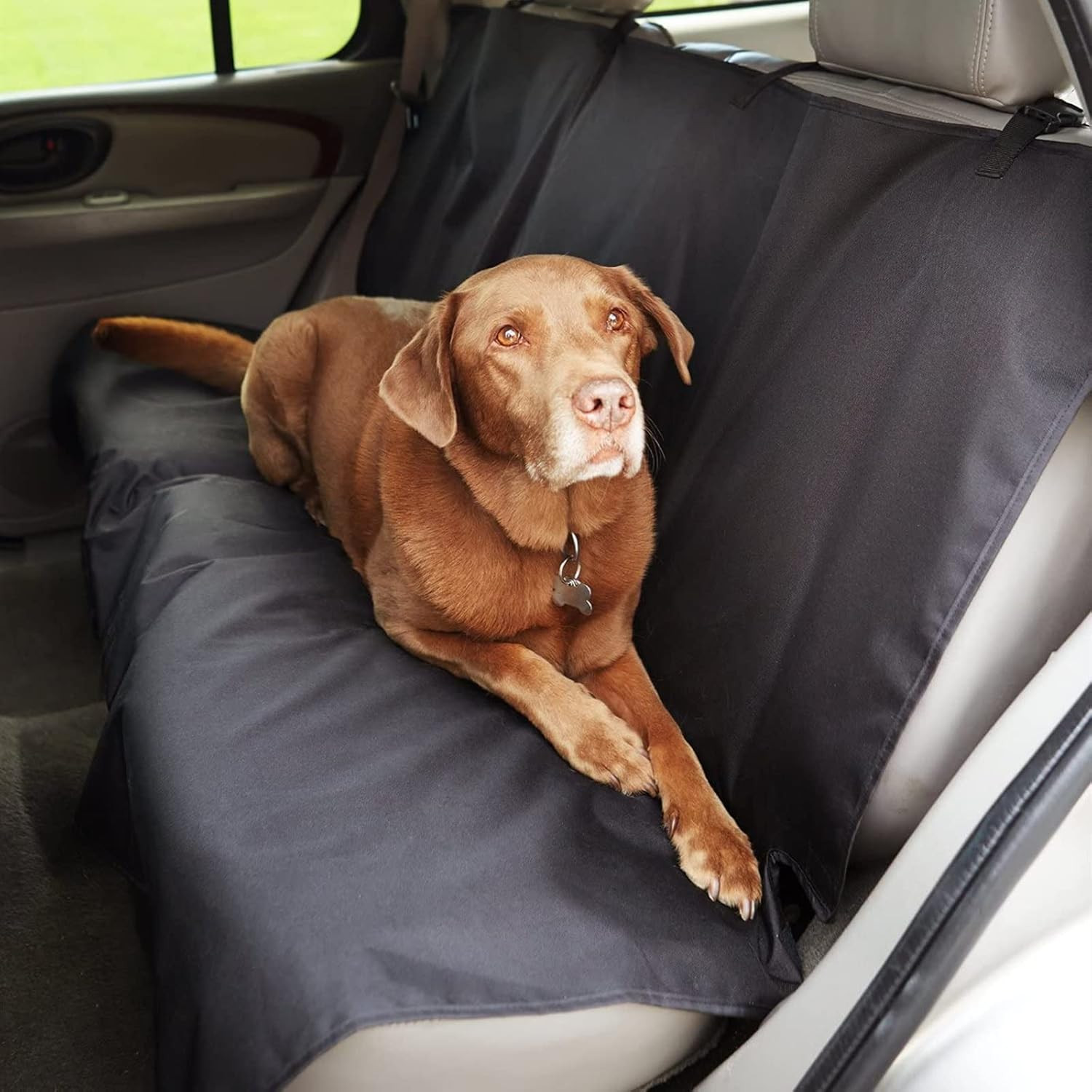 Coprisedile Auto per Cani Universale Elegante - Protezione e Comfort