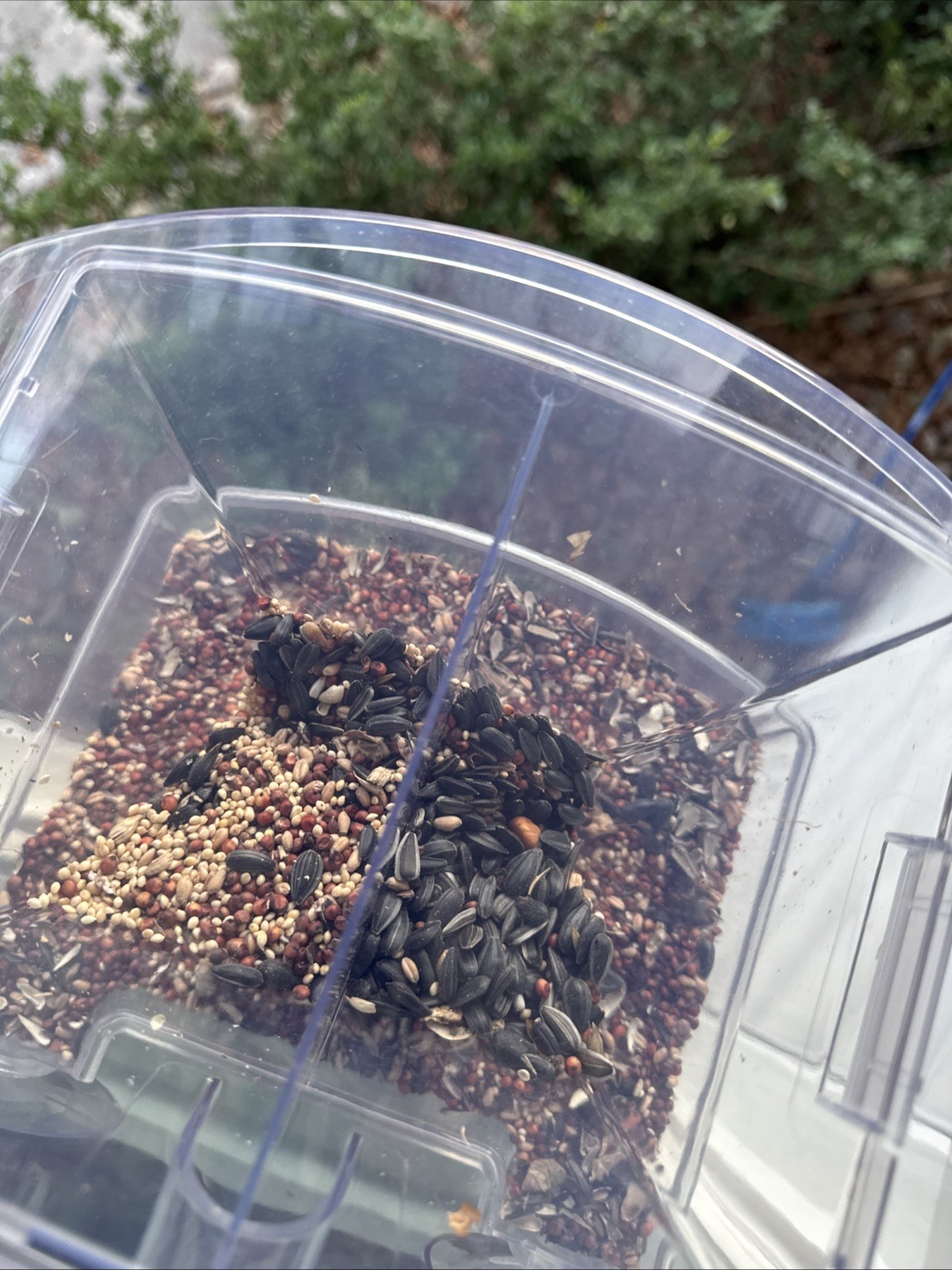 Bird Feeder-Window Mounted Suction Cups On Window-Weatherproof-Clear-Great Views
