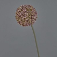 Artplants KüNstliche Blume Allium Boutros, Violett, 75Cm