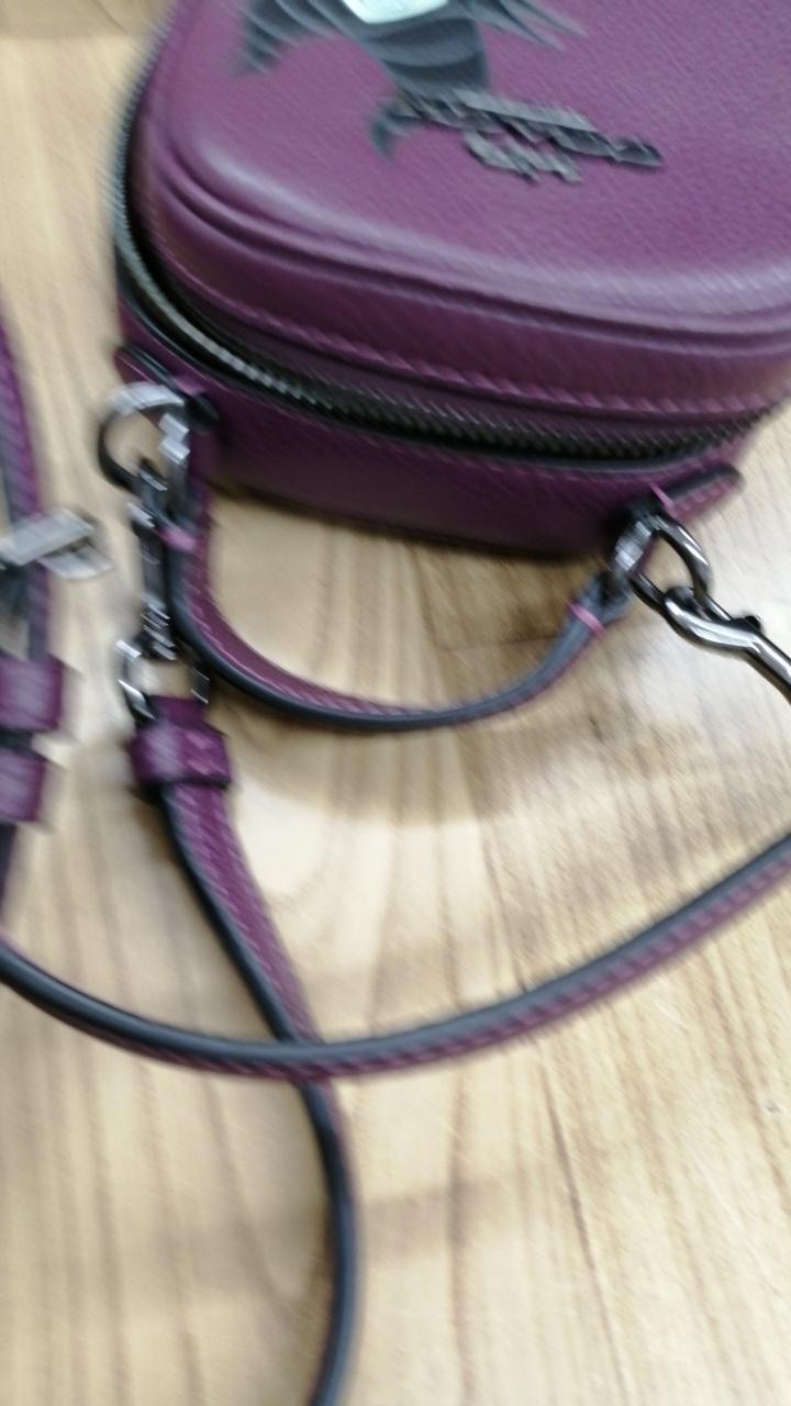 Authentic Maleficent Mini Shoulder Bag Model Bord… - image 8