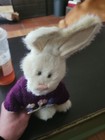 Foto 3 di 6
