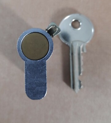2er Set Original ASSA Oval Abloy Schloss 5-polig mit 1 Schlüssel Schließzylinder
