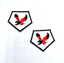 2x Eastern  Washington  Eagles  NCAA logo Patch Iron On Embroidery 1.5"