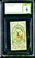 2019 Allen & Ginter Collectible Canines English Bulldog Mini CSG 9