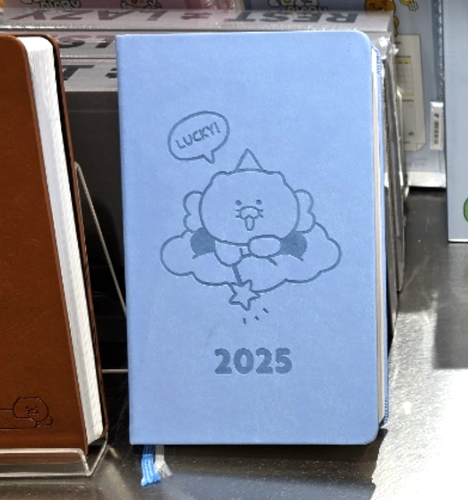 KAKAO Friends DIARY Journal 2025 with Deco Stickers + Track - Picture 4 of 13