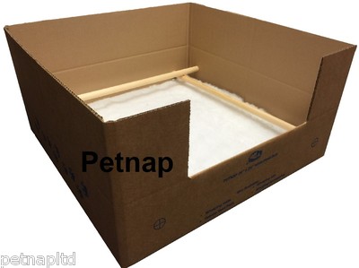 dog birthing box