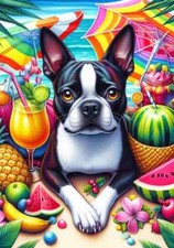 Boston Terrier Summer Fun Flag