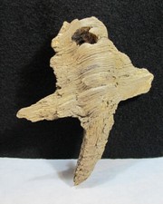 Natural Knot Burl Blank Mountain Spirit Driftwood Art or Aquarium Piece